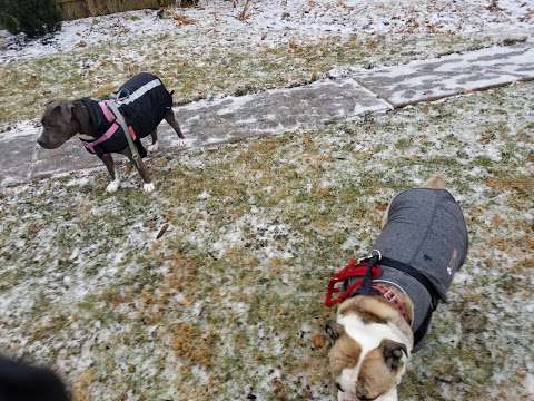 Raritan Dog Park Raritan Dog Park